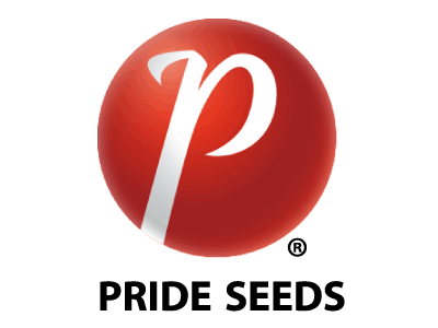Pride Seeds