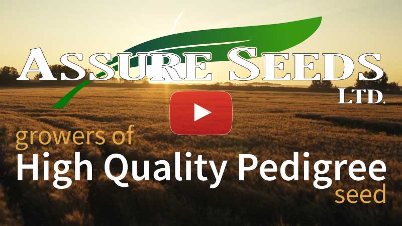 Assure Seeds Video